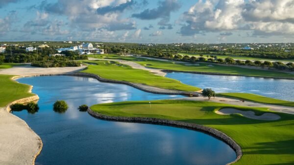 Tiburon Golf Club Review (2026): Is It Worth the Resort Access?