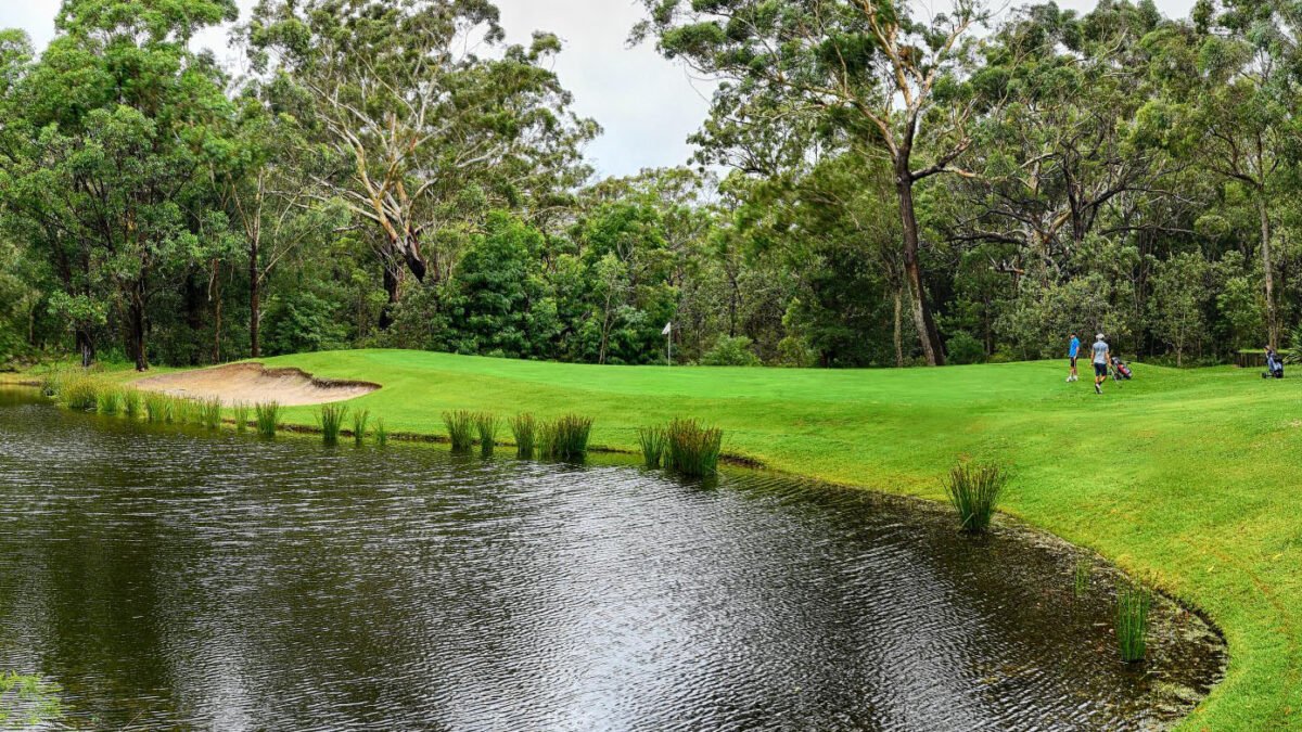 Nelson Bay Golf Club Review (2026): Worth A$90?