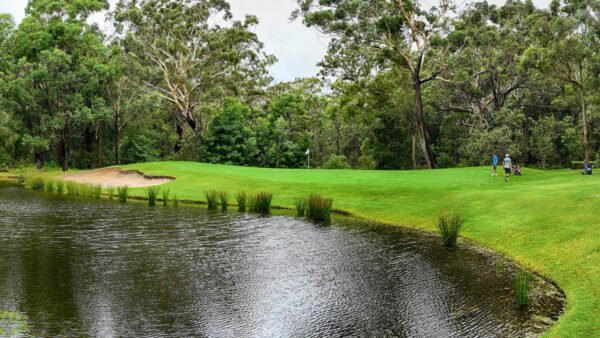 Nelson Bay Golf Club Review (2026): Worth A$90?