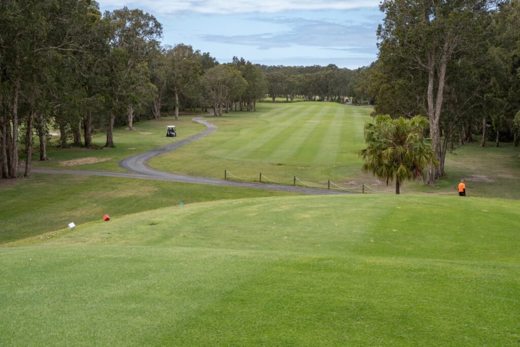 Toukley Golf Club tree-lined fairway — Toukley, NSW