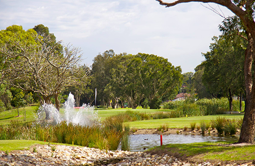 Beverley Park Golf Club Review (2026): Sydney Airport Value or Too Busy?