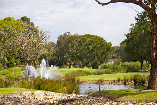 Beverley Park Golf Club Review (2026): Sydney Airport Value or Too Busy?