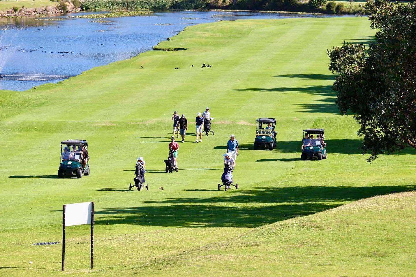 GA Handicap, Pennant and Competition