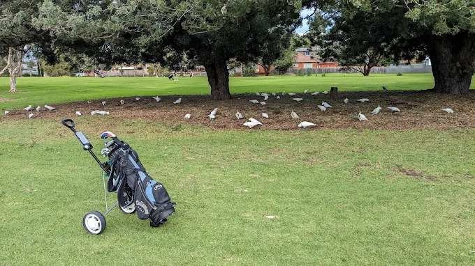 GA Handicap at This Club