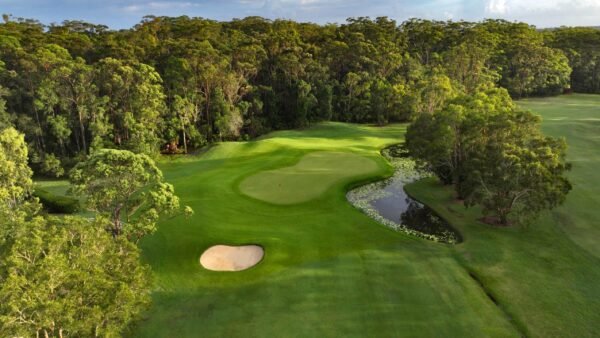 Noosa Golf Club Review (2026): Best Visitor Value Near Tewantin?
