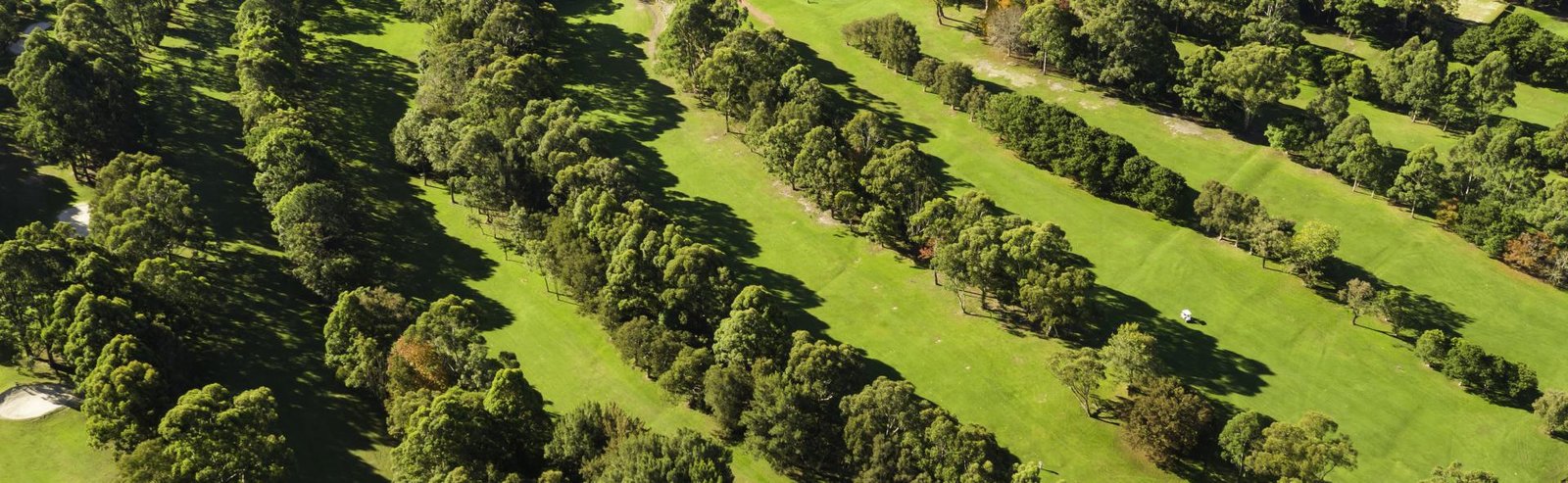 Gordon Golf Course fairway on Sydney North Shore NSW