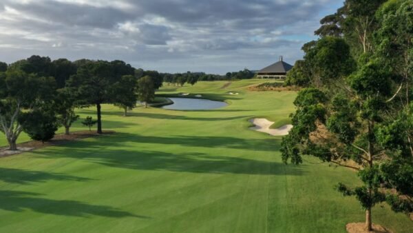 15 Best Golf Clubs in NSW (2026): Ranked by Our Review Scores