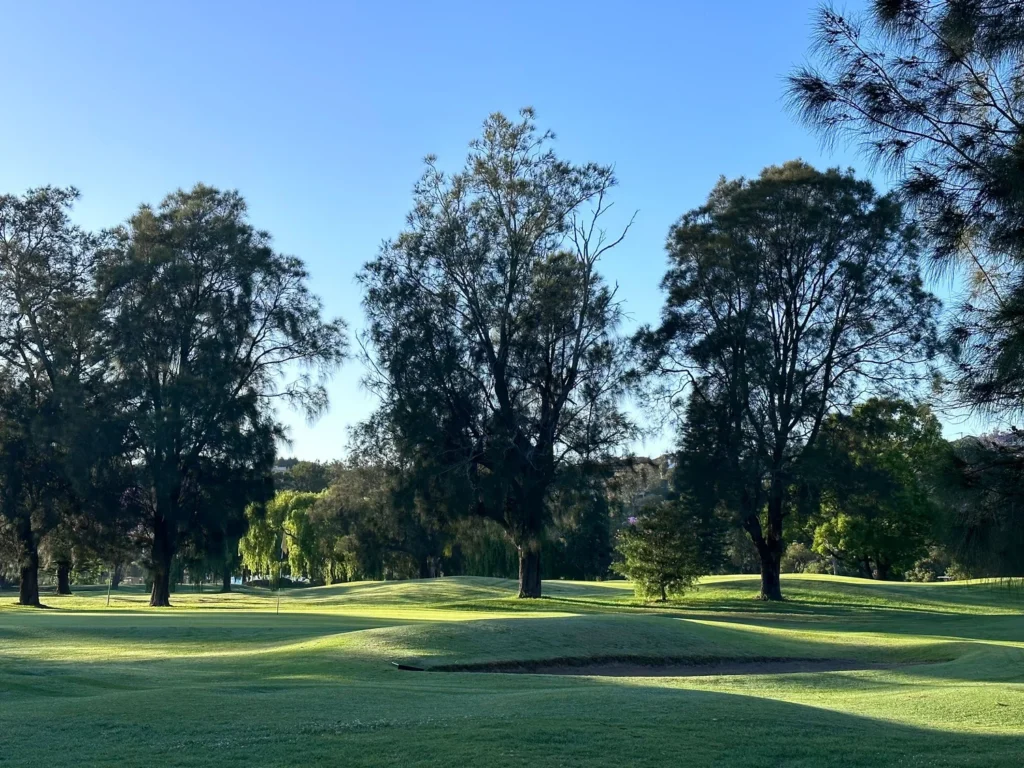 Marrickville Golf Club Review