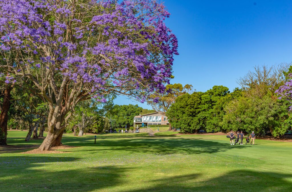 Water-lined golf hole at Massey Park Golf Club