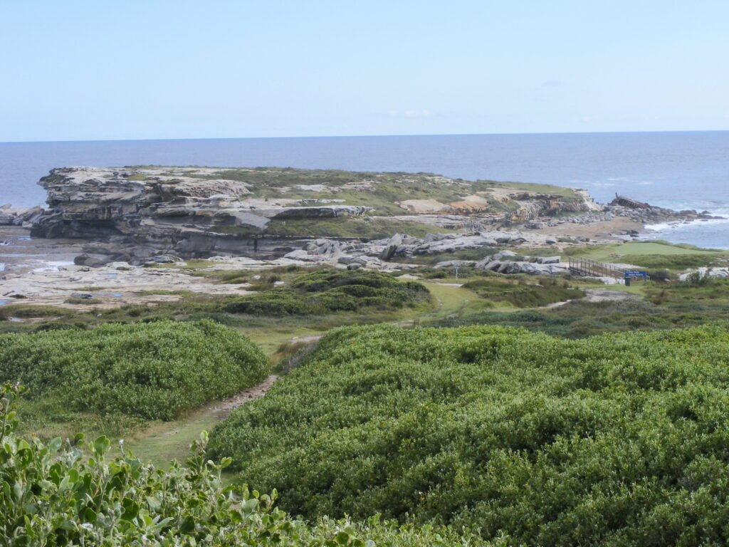 Cape Banks coastline beside New South Wales Golf Club