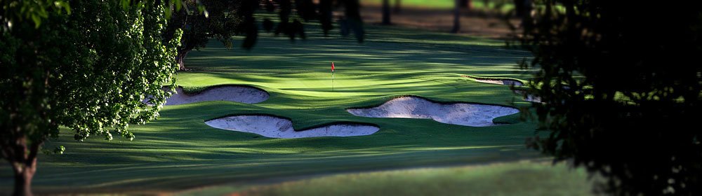 Bunkered fourteenth green framed by trees at Pennant Hills Golf Club