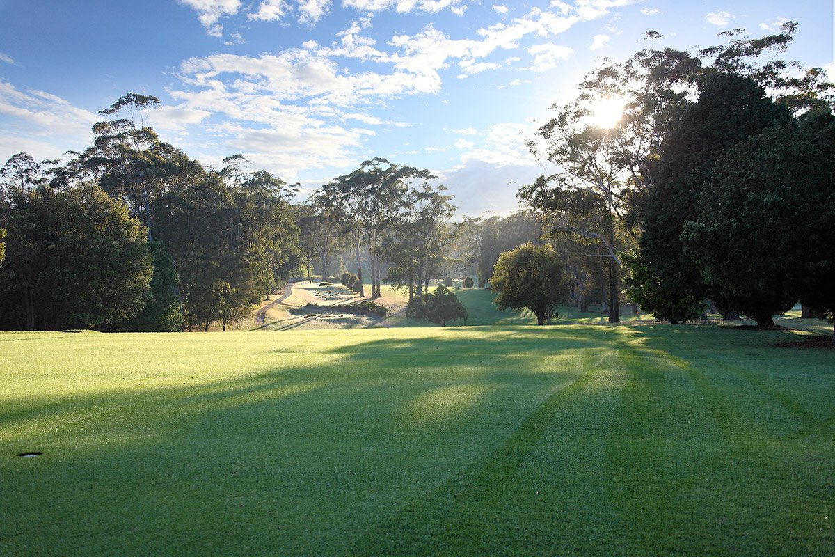 Second fairway descending through trees at Pennant Hills Golf Club
