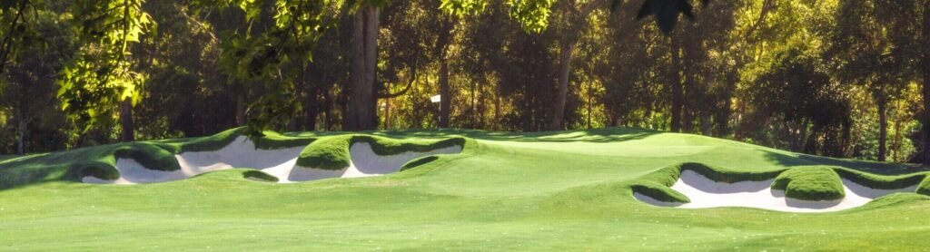 Seventh green and flashed bunkers at Pymble Golf Club