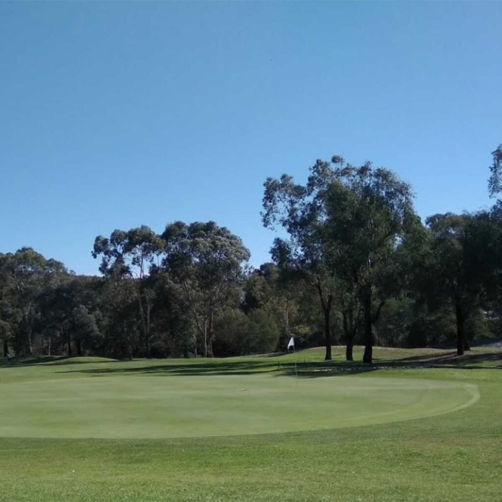 Smooth putting green in the Queanbeyan bushland setting
