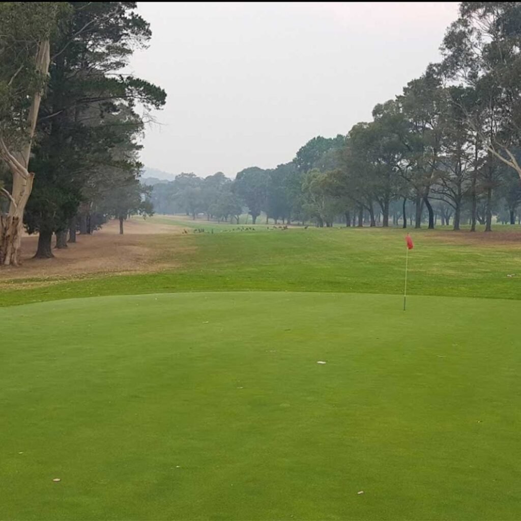 Long tree-lined fairway viewed from a Queanbeyan green