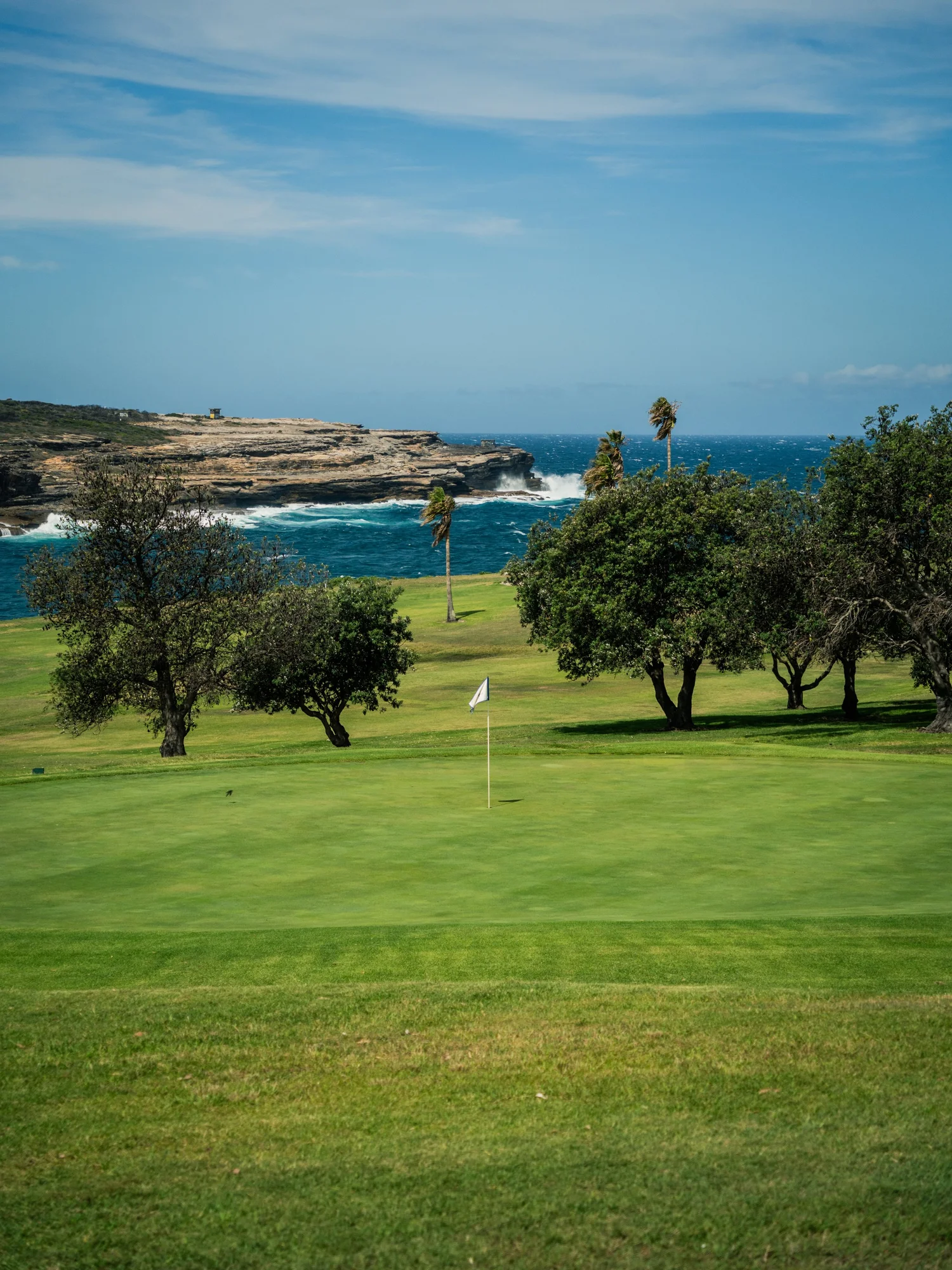 Randwick Golf Club green overlooking the Pacific Ocean