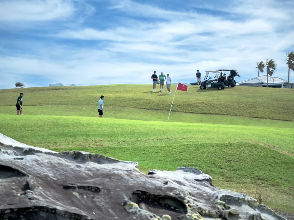 Social golfers and buggies beside a Randwick green