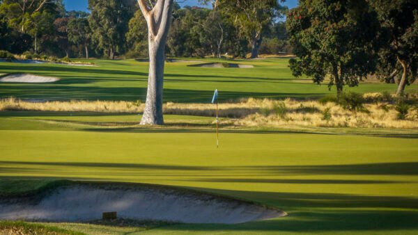 Commonwealth Golf Club Melbourne Review (2026): Sandbelt Golf for A$80?