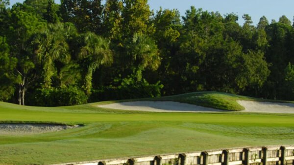 Westchase Golf Club Review (2026): Tampa’s Daily-Fee Workhorse