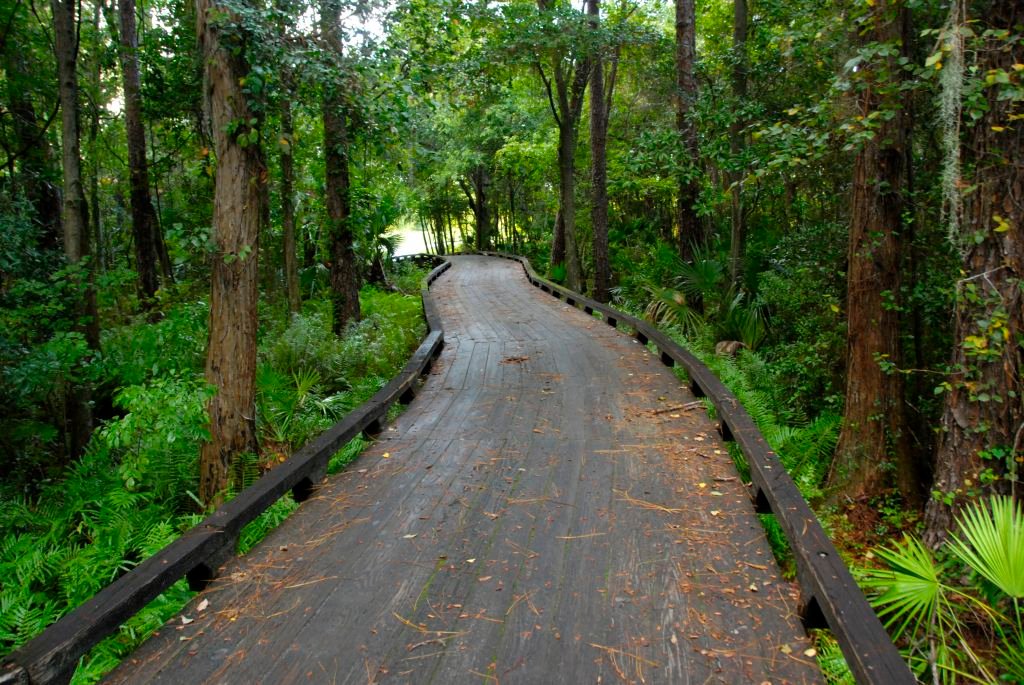 Westchase Golf Club wooden cart boardwalk through the wetlands — Tampa, Florida